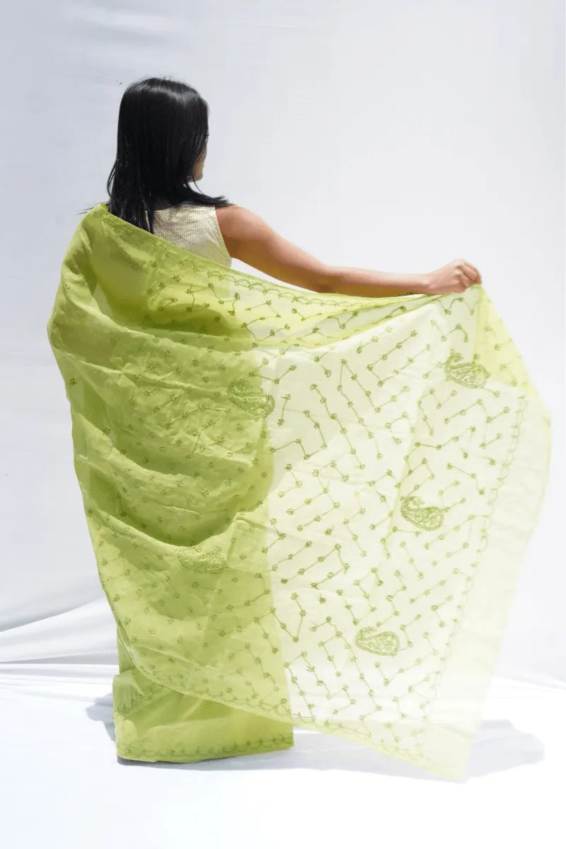 Cotton Chikankari Saree in lime green with Lucknow hand embroidery on borders – Noolagam_4