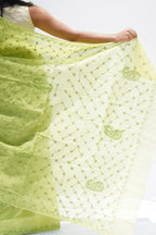 Cotton Chikankari Saree in lime green with Lucknow hand embroidery on borders – Noolagam_5